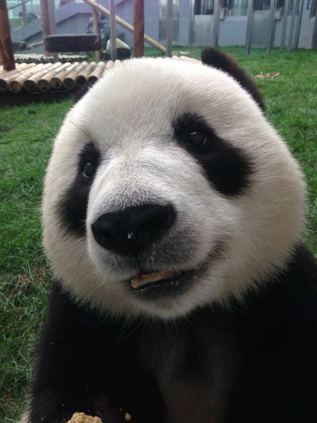 The avatar of Panda0481